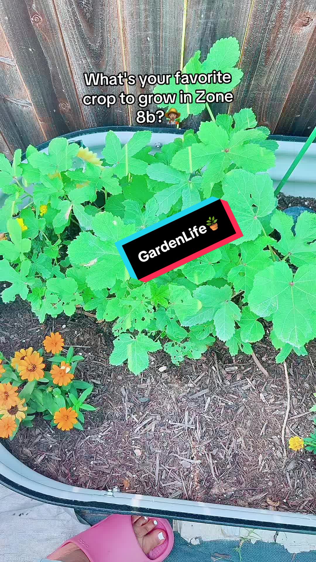 @TeeTee ❌♋️🦀
