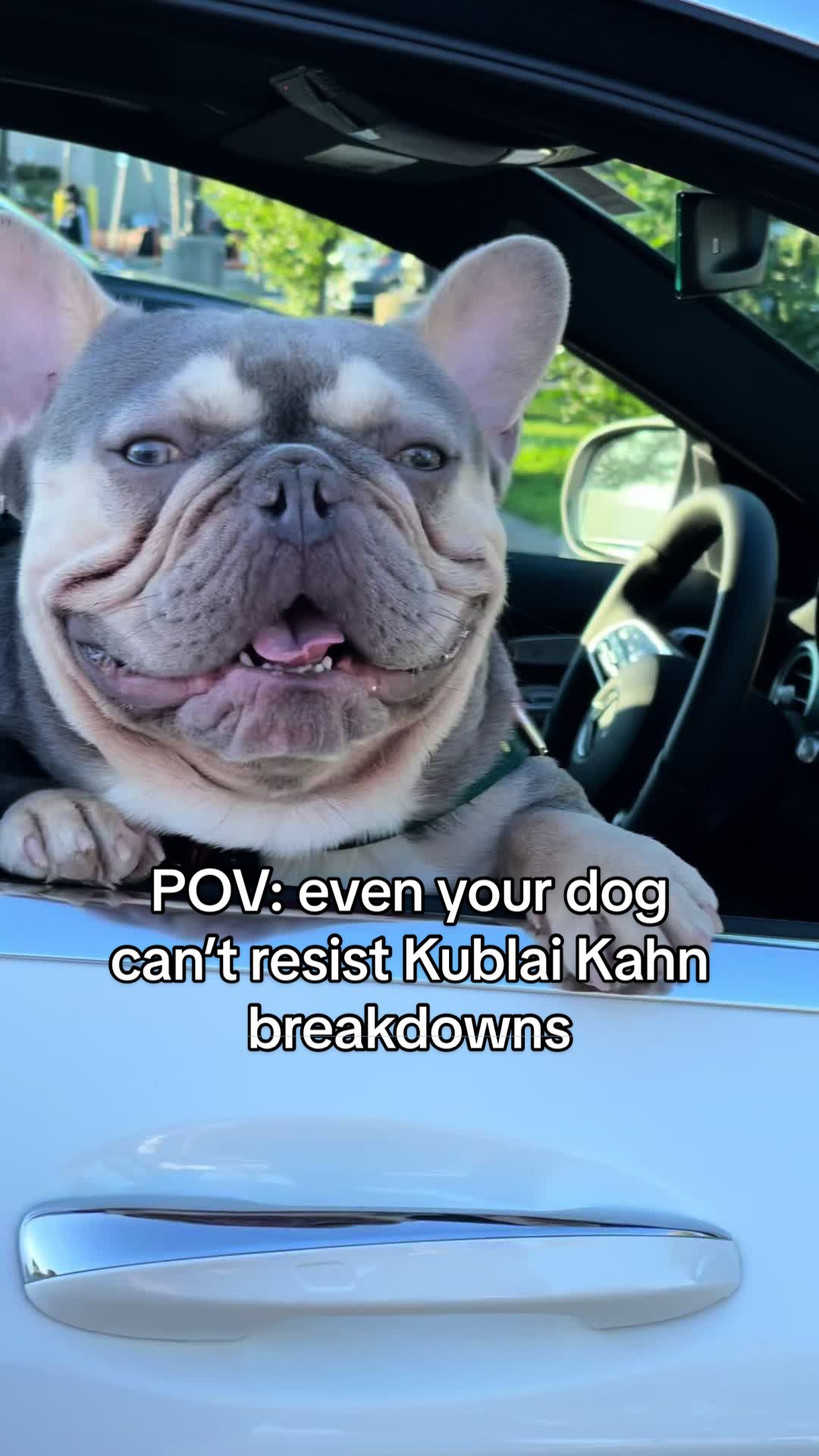 @Frenchiecvlt