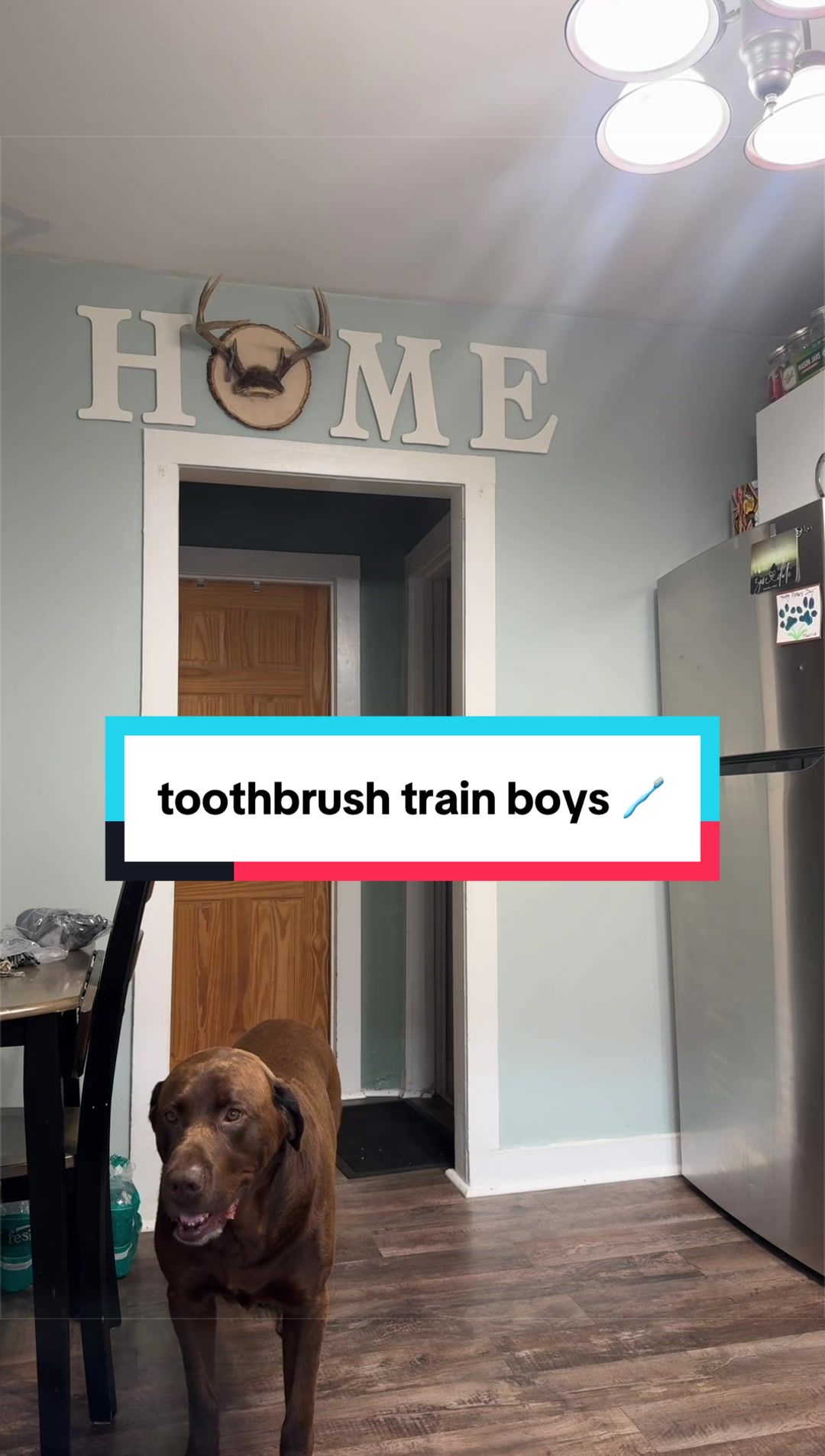 @Mel & Moose 🤎🐾
