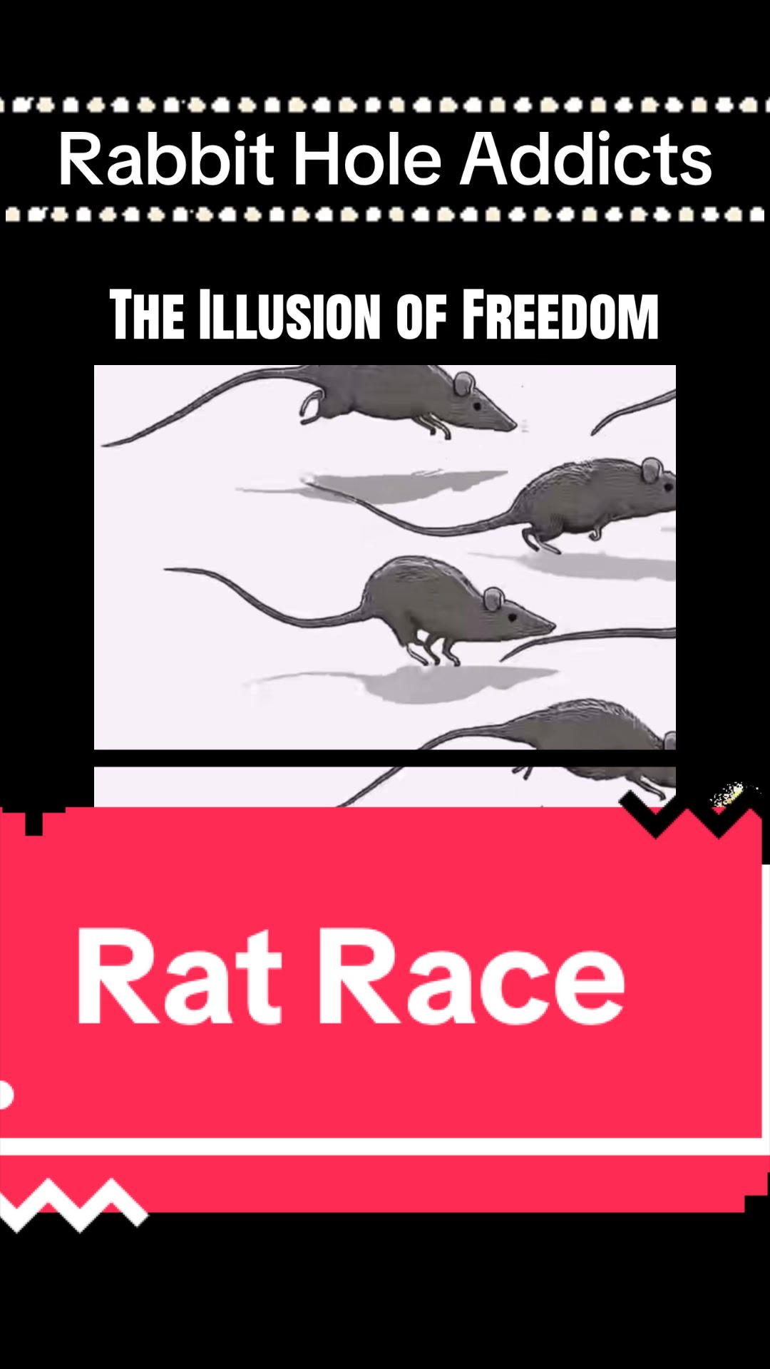 @Rabbit Hole Addicts