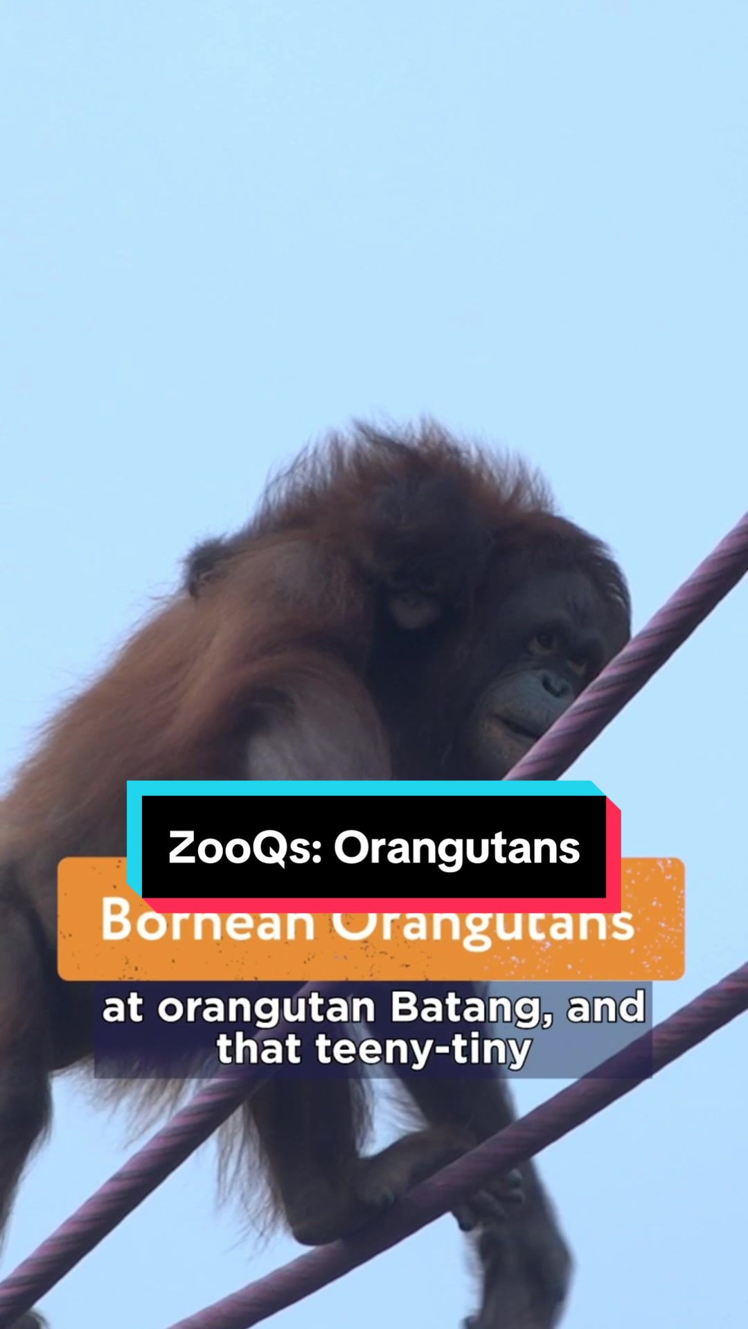 @Smithsonian Channel