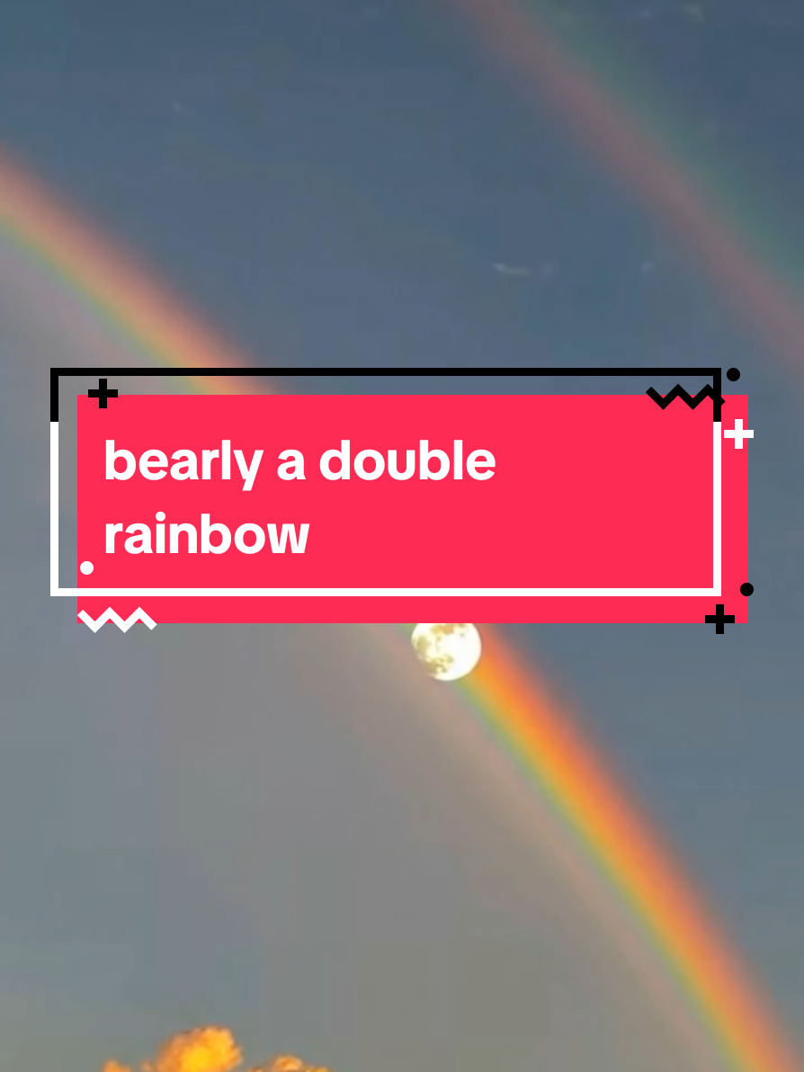 @bearlyconspiracies