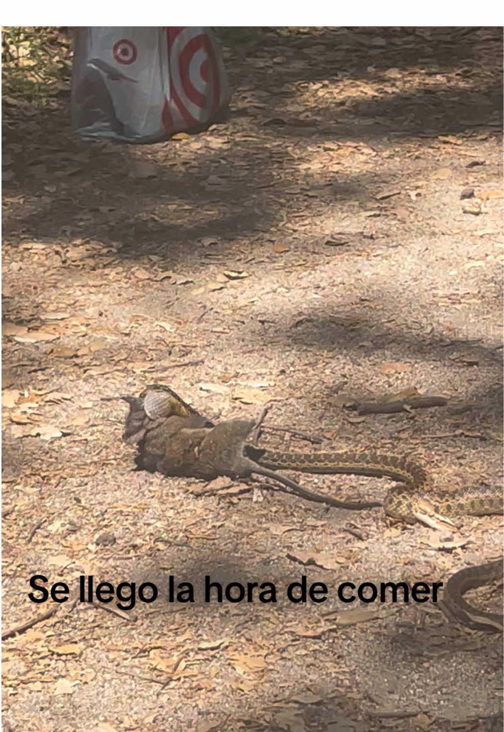 @Adolfo Lopez Rubi945