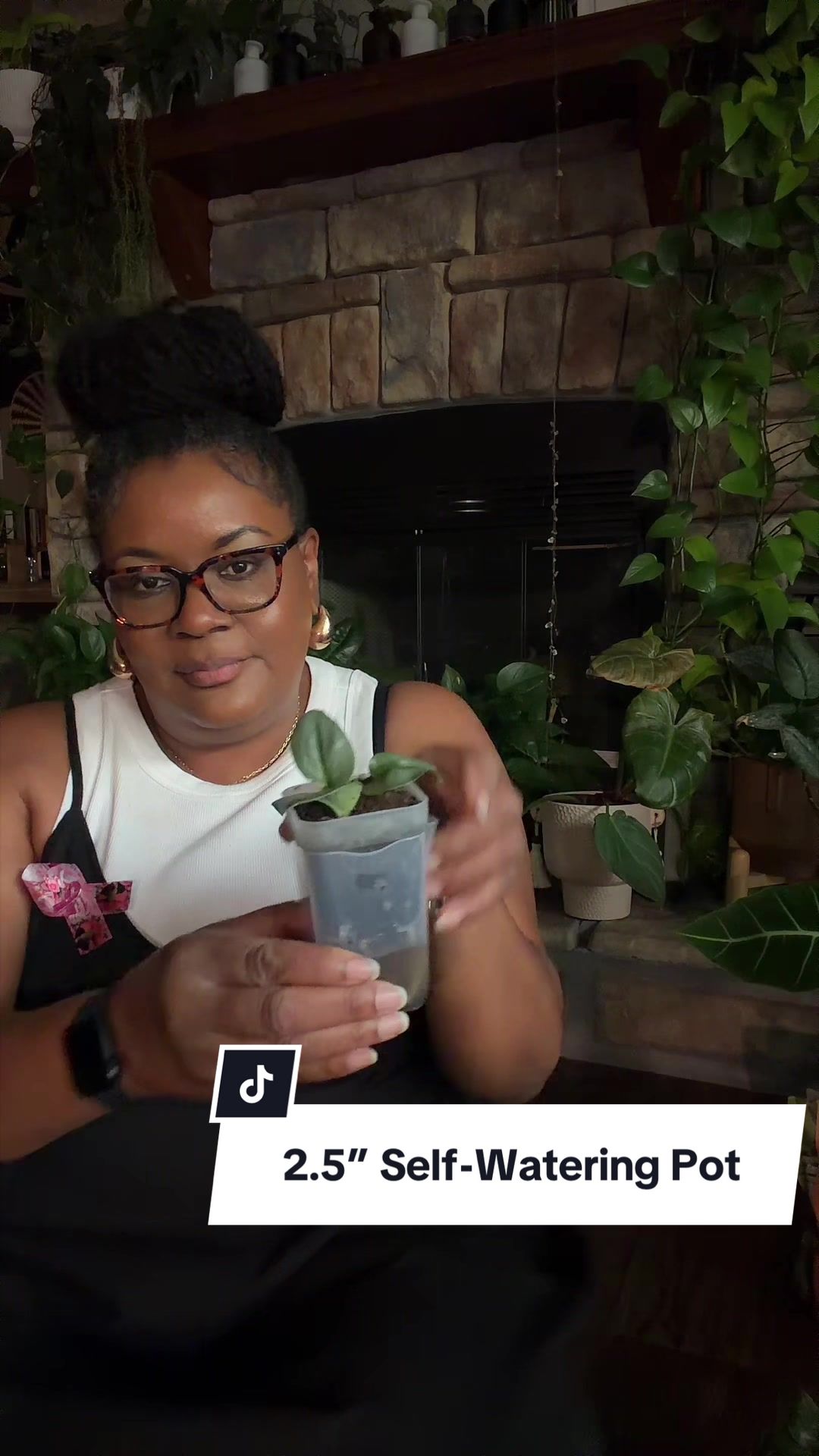 @Jplantmama