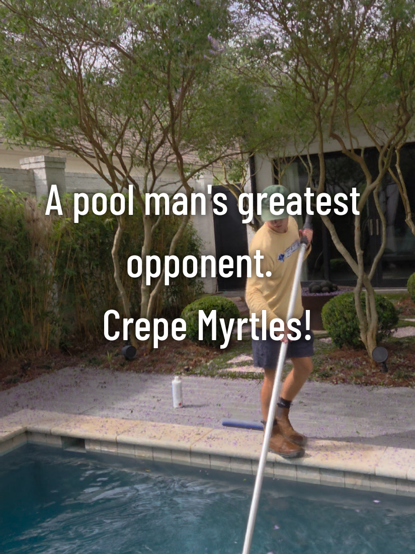 @Rex | BR Pool Pro