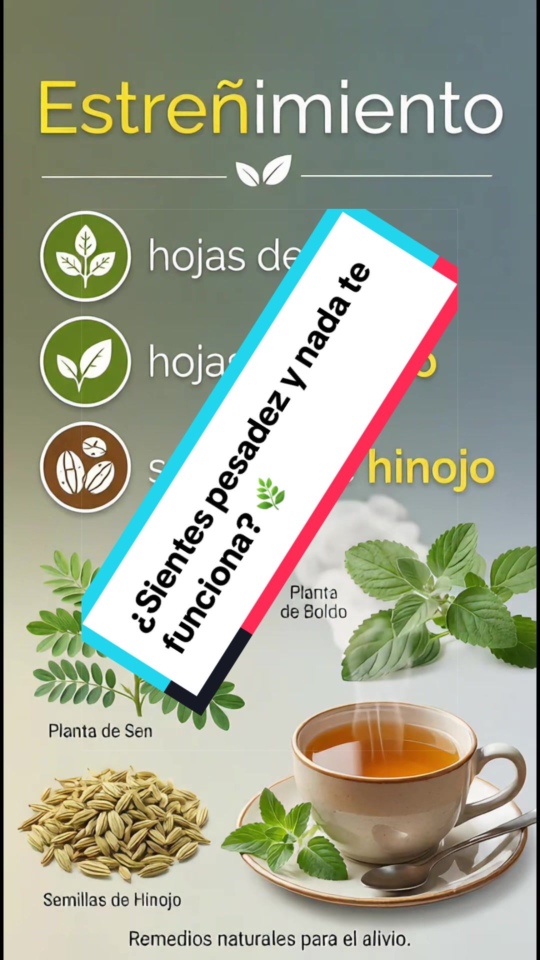 @Tips naturales