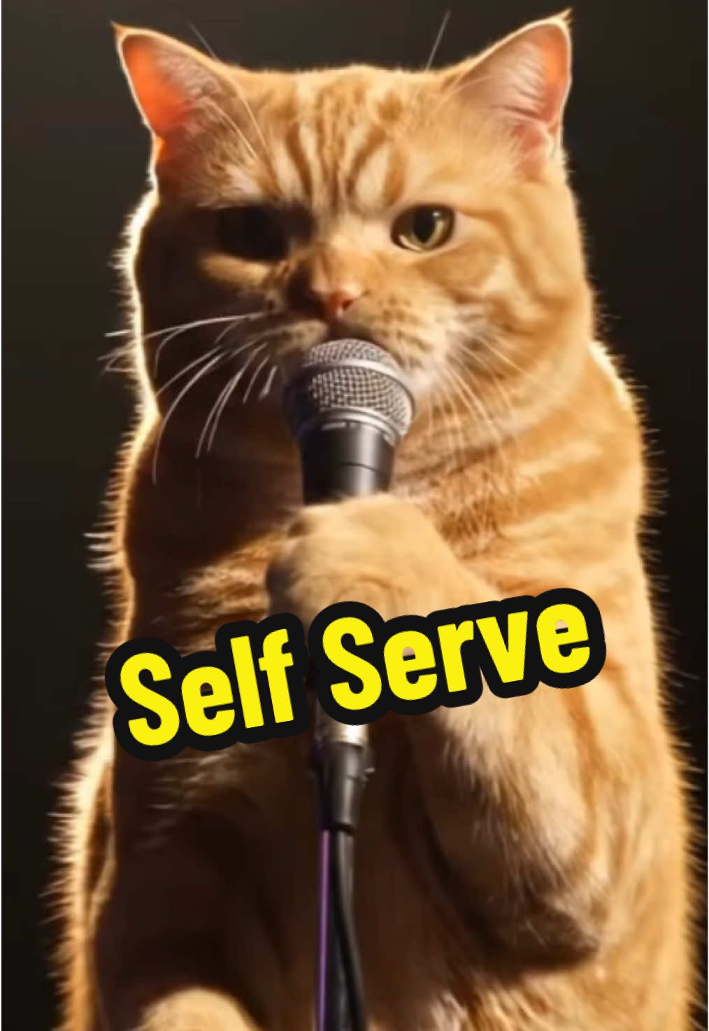 @comedyclubcats