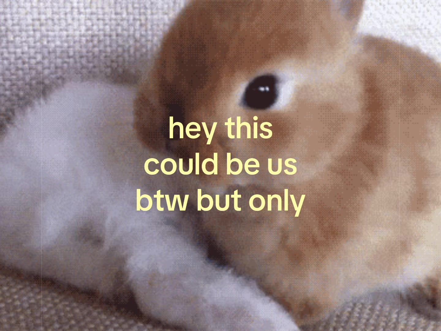 @❀