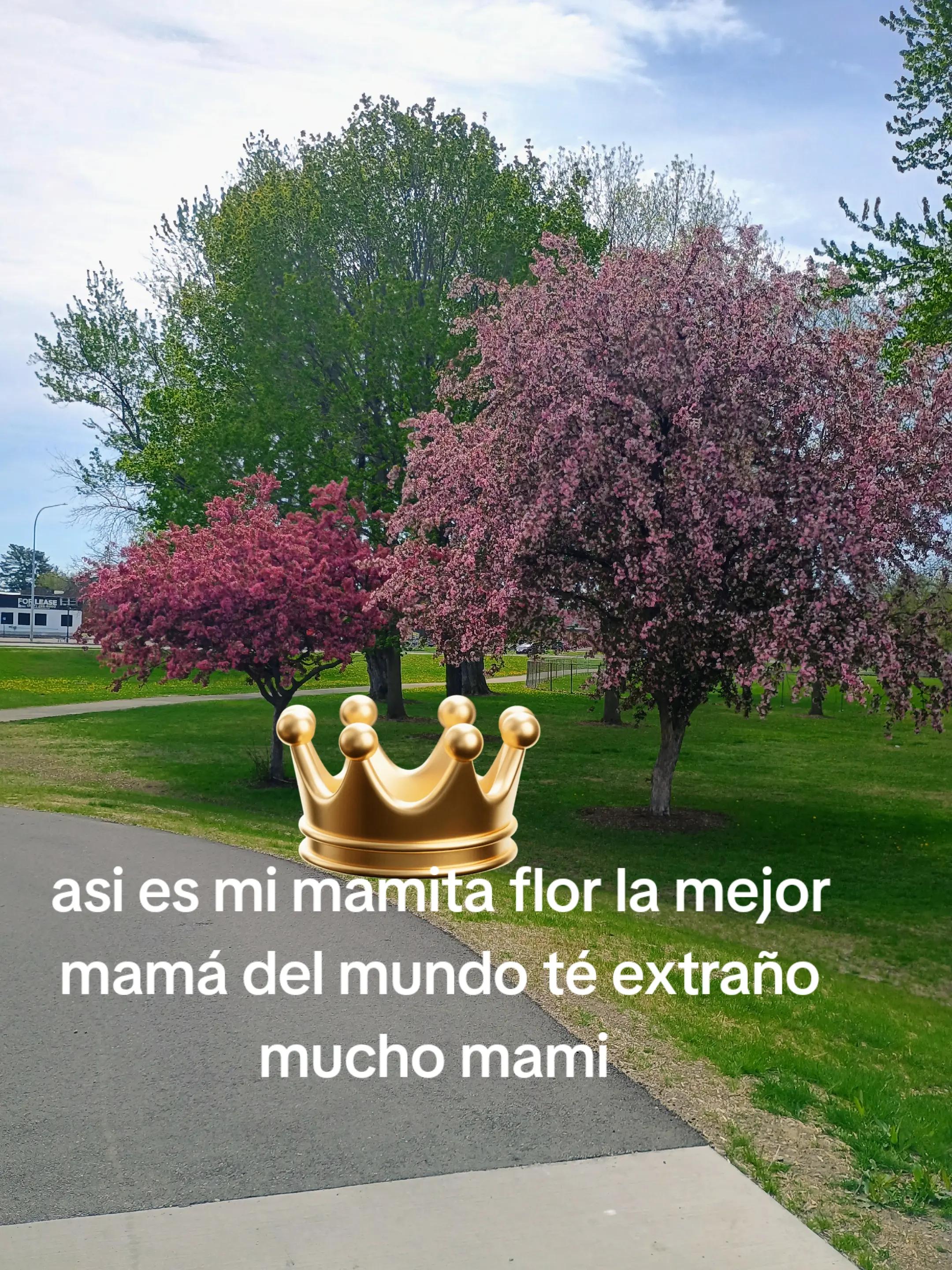 @chiogarrido08