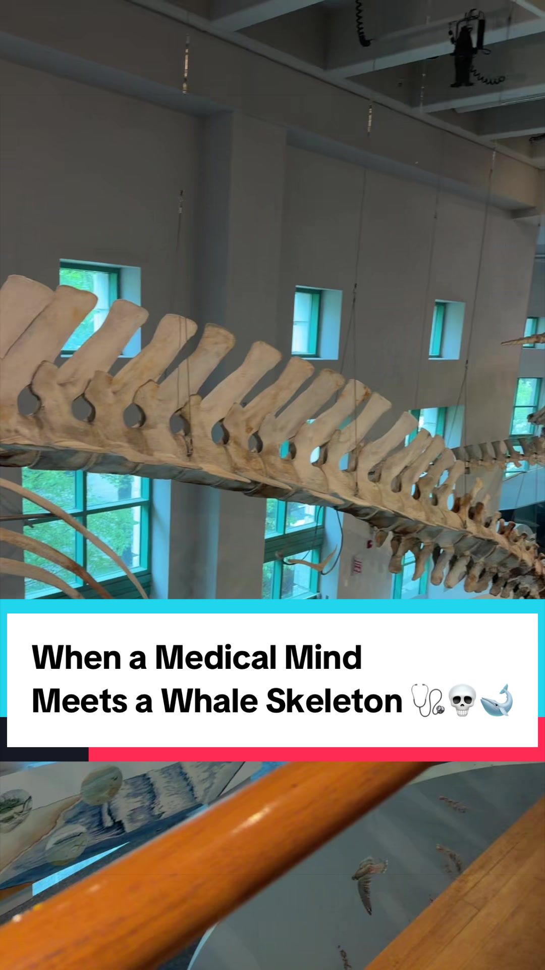 @revivemedicalwellness