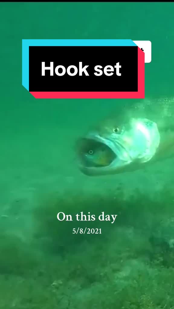 @Bassinwithjay