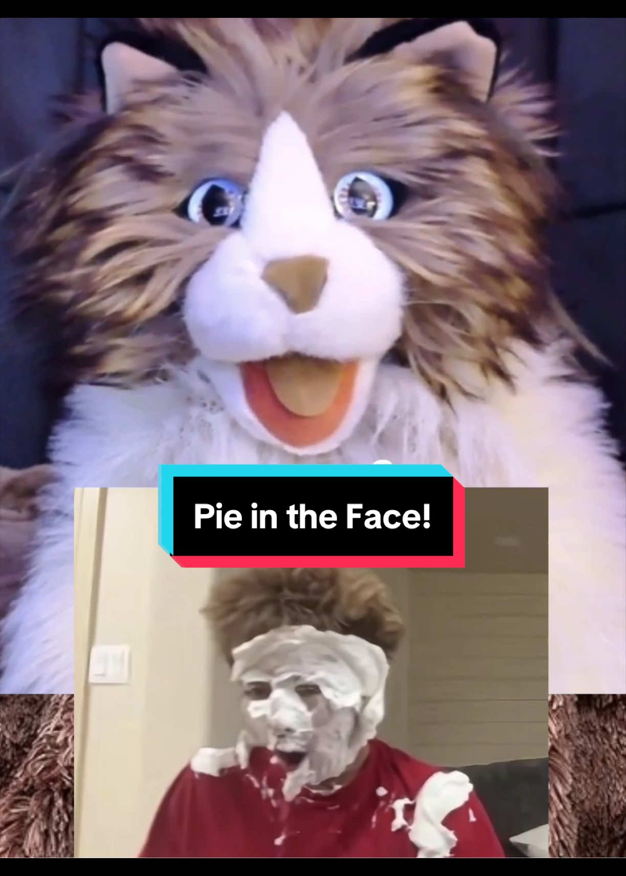 @PeterPrankster