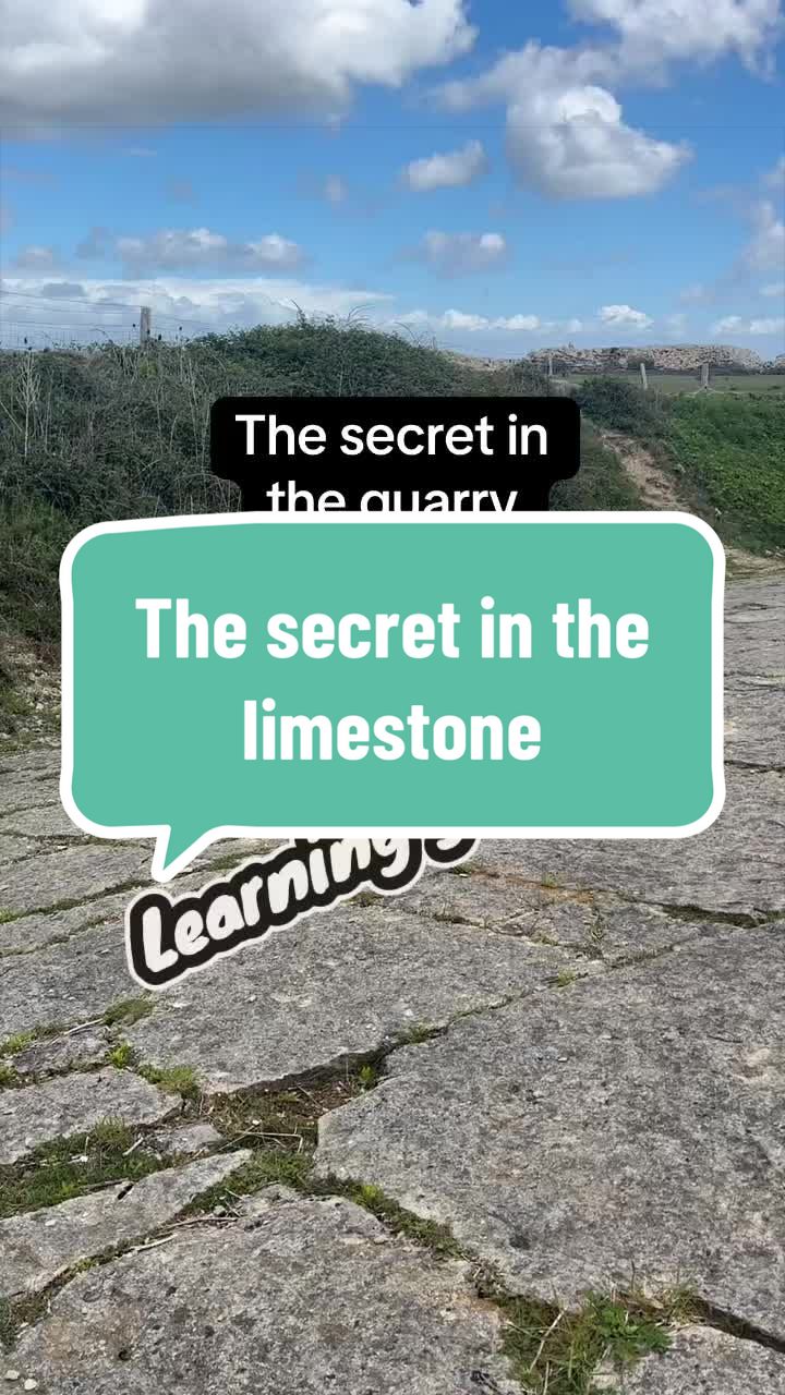 @Gary Lewis | GEOetc