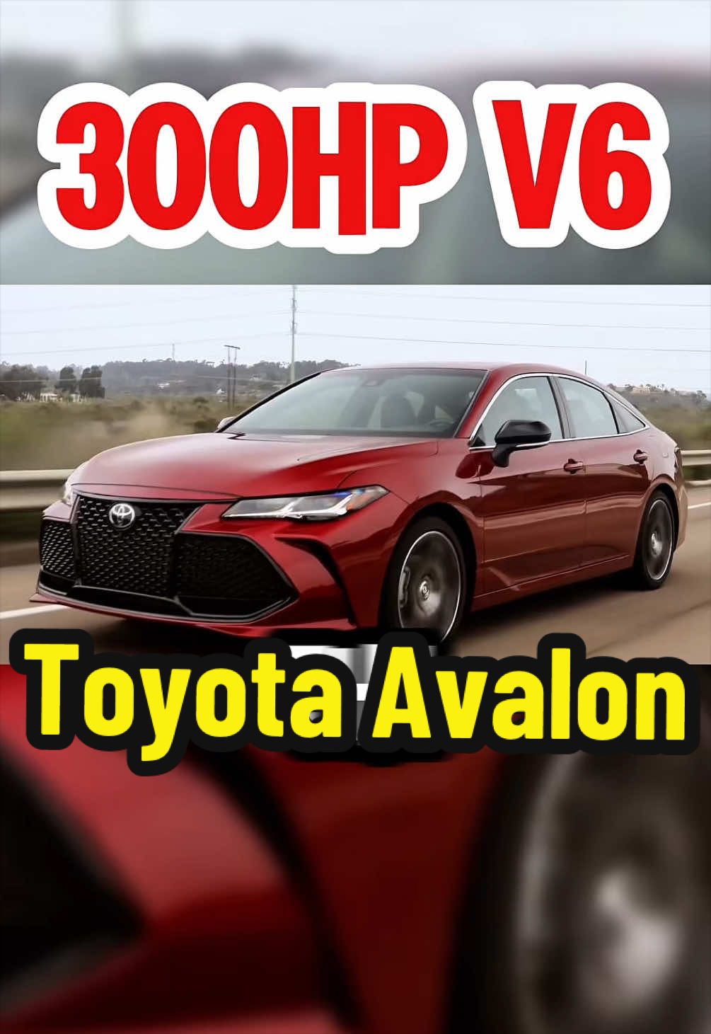 @TorqueHub๐