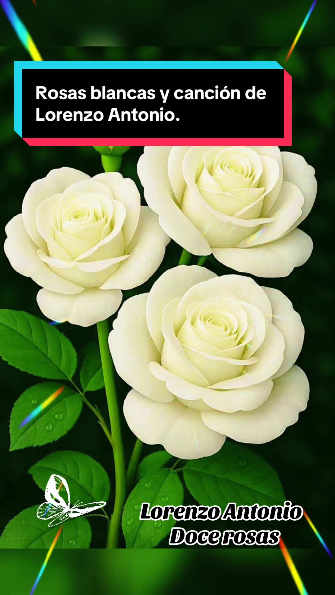 @💛Olgaconesa5💛