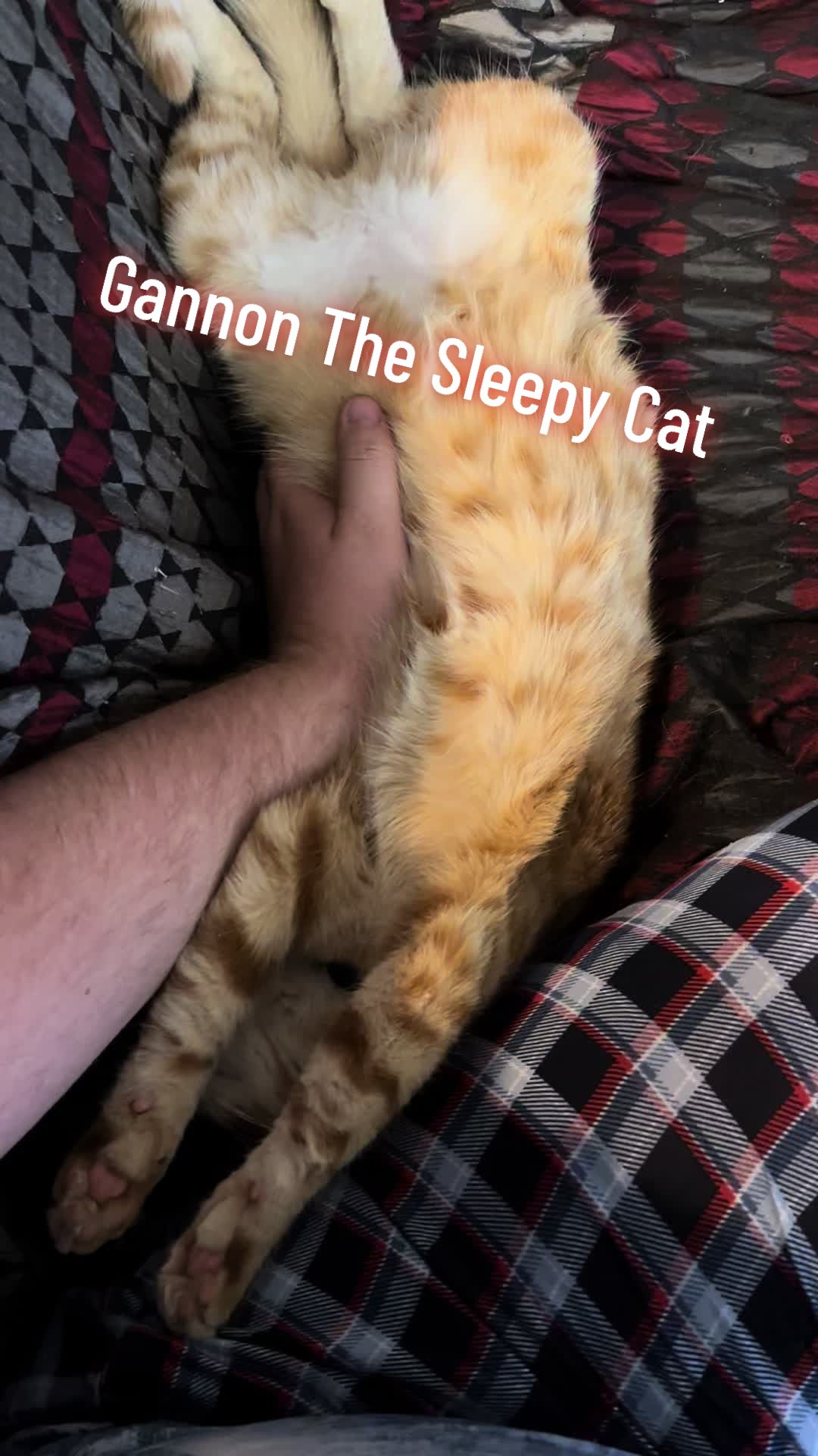 @SilverGinger