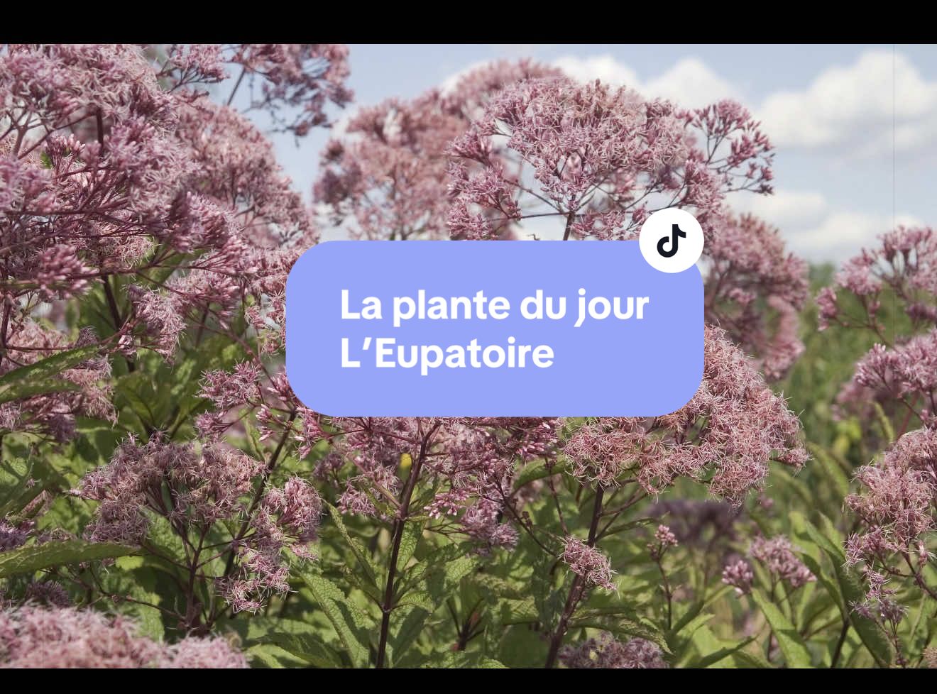 @💫🧿🦋Solange🦋🧿💫