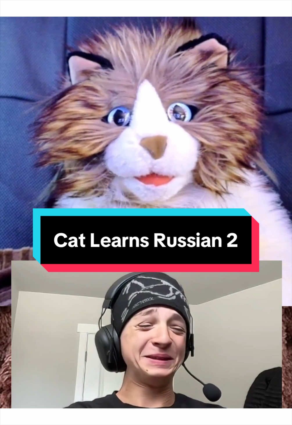 @PeterPrankster
