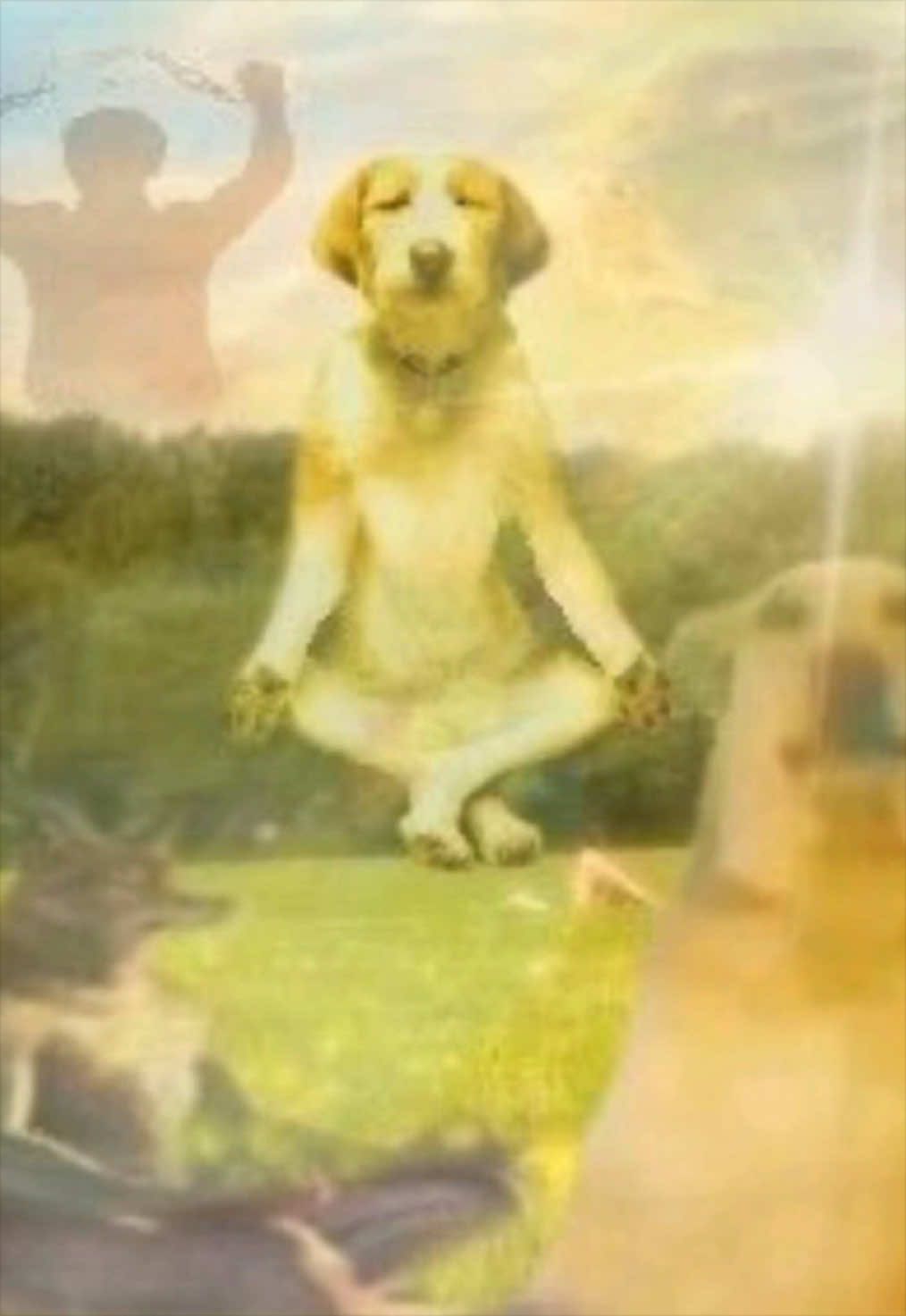 @вn𝔱(𝔂)𝓶α𝓻к ♘♤