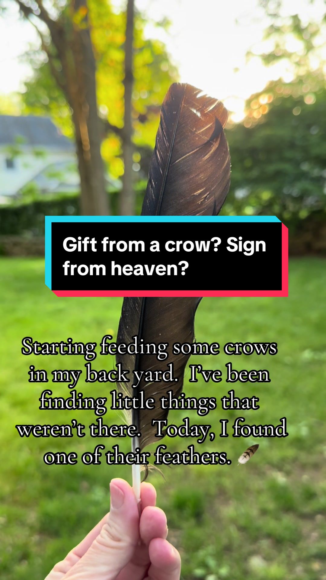 @🥀♱𝓜 𝔢 𝔩 𝔞 𝔫 𝔦 𝔢 ♱🥀🕸️