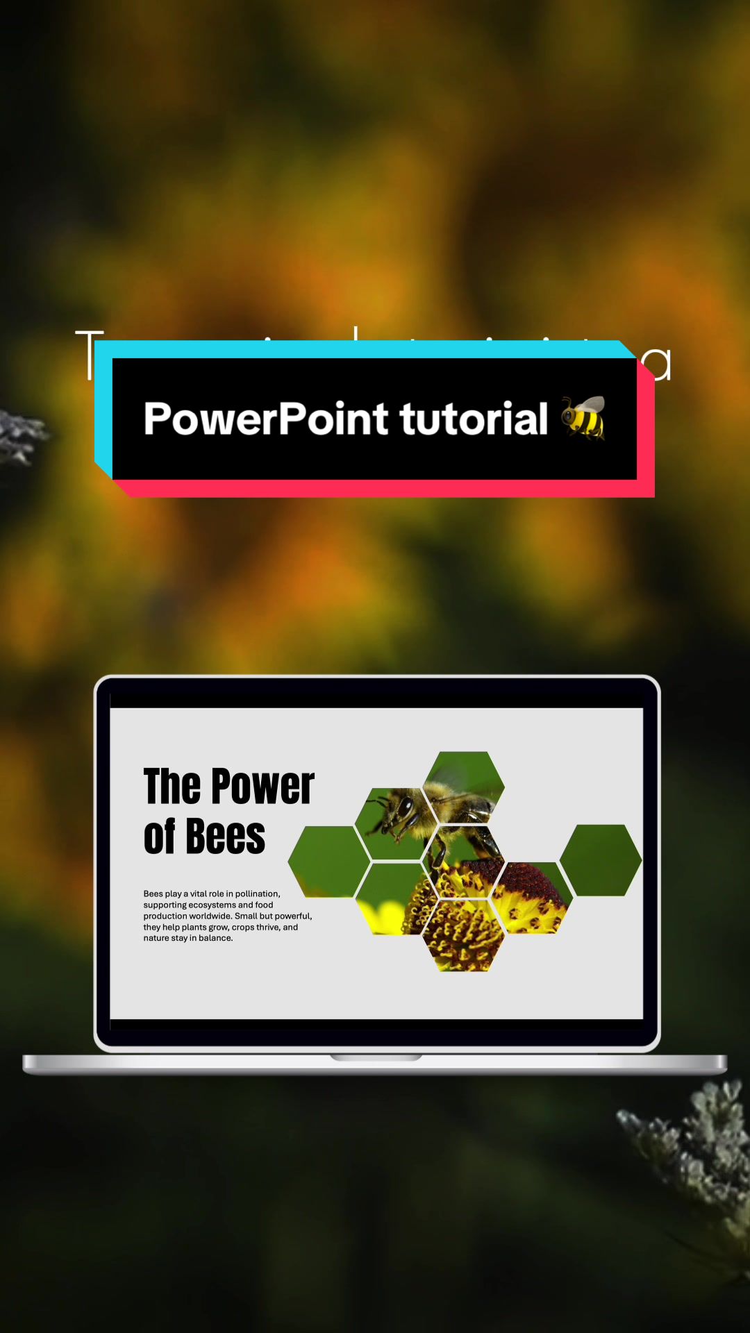 @Slidenest PowerPoint Morph