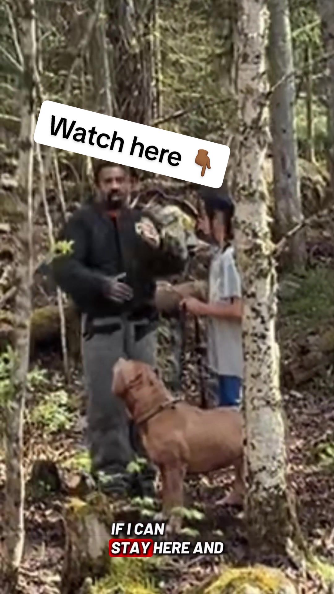 @DarkDynastyK9s