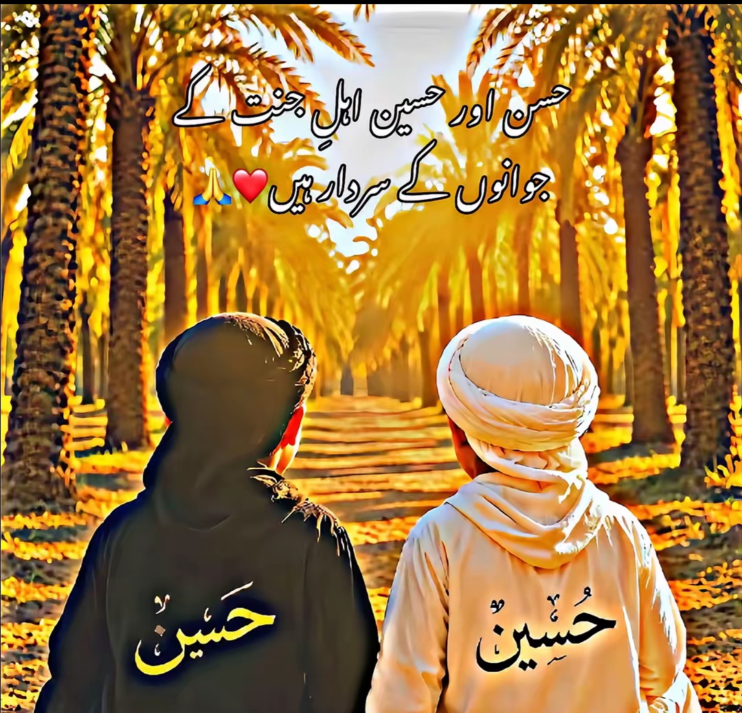 @HAIDER 07
