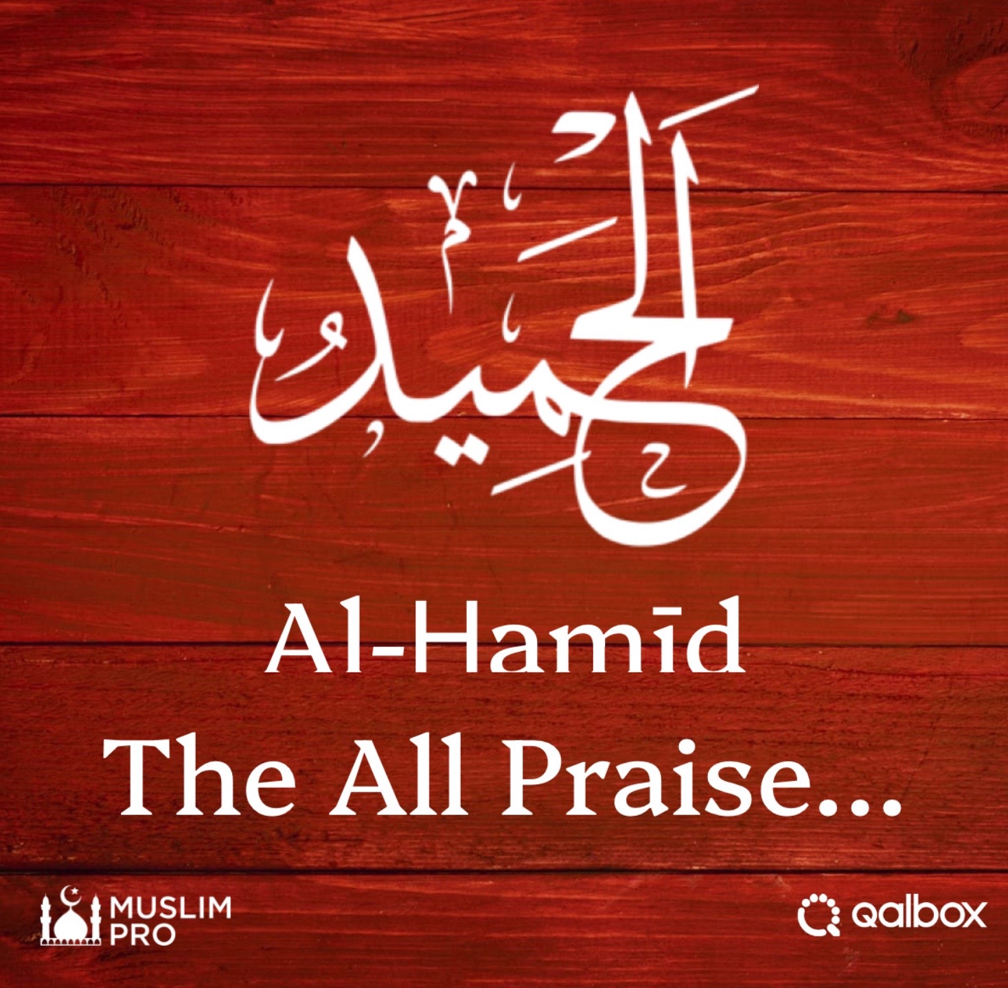 @mahmoud