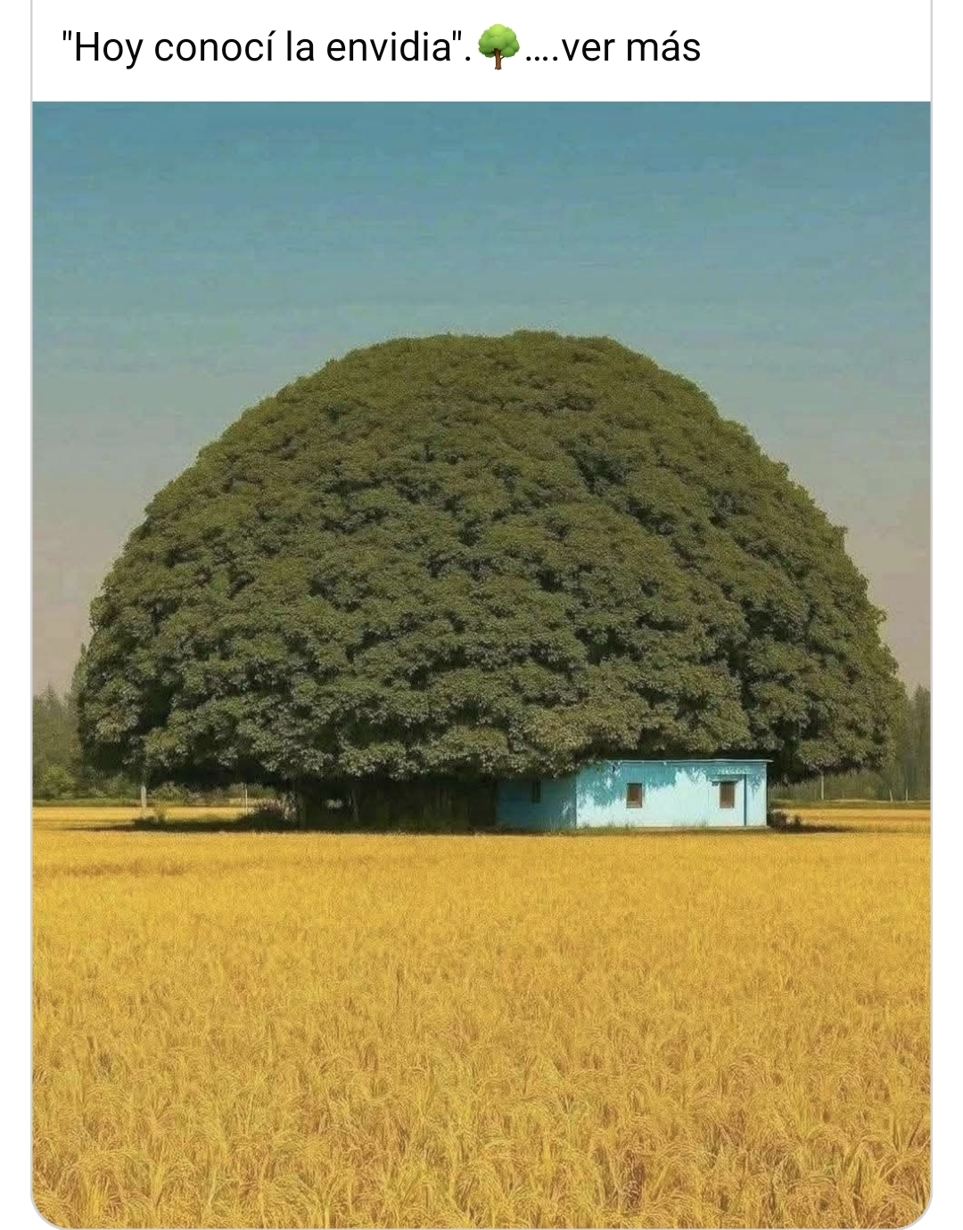@Leonardo Peña