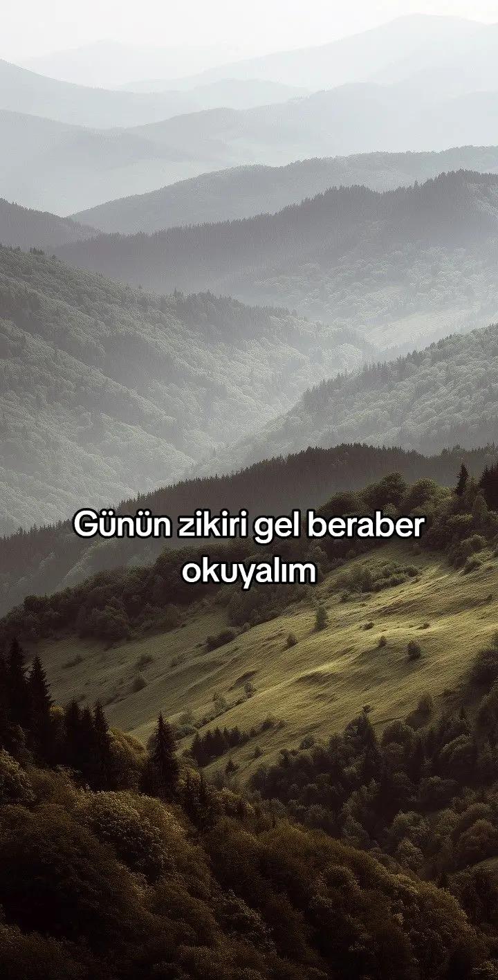 @﷽Mümin🇵🇸