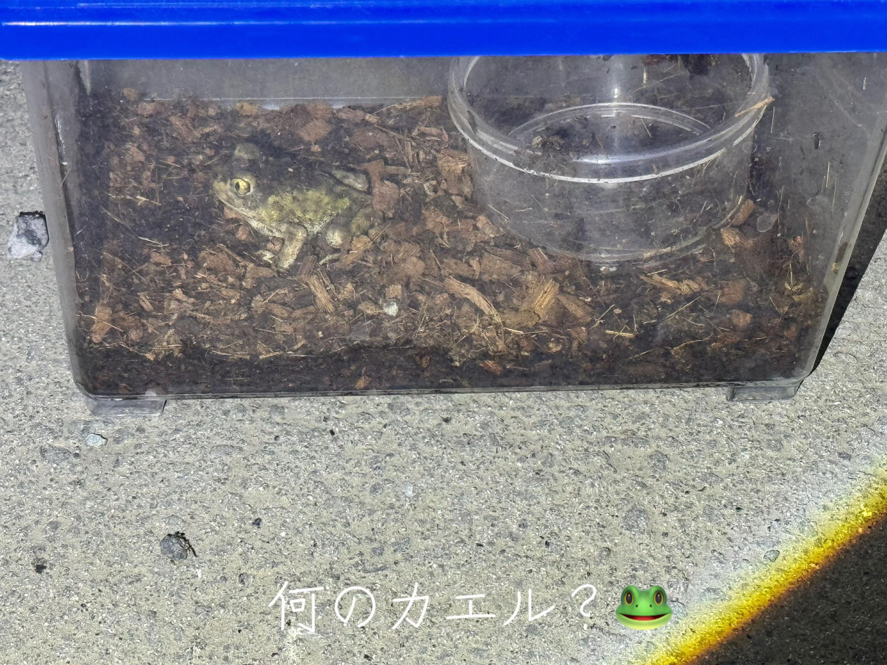 @ヒロ⛄️