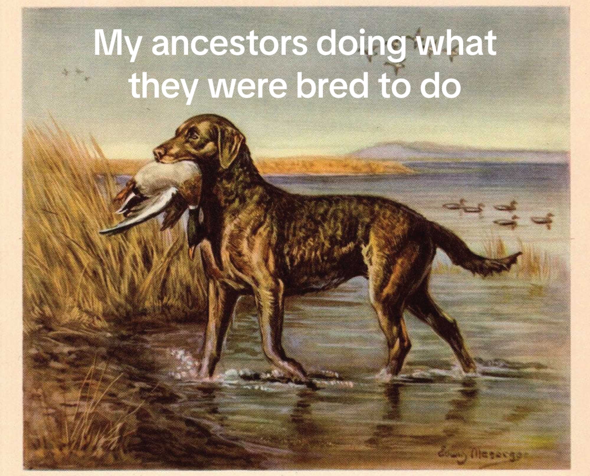 @𝒞𝒾𝑒𝓇𝓇𝒶