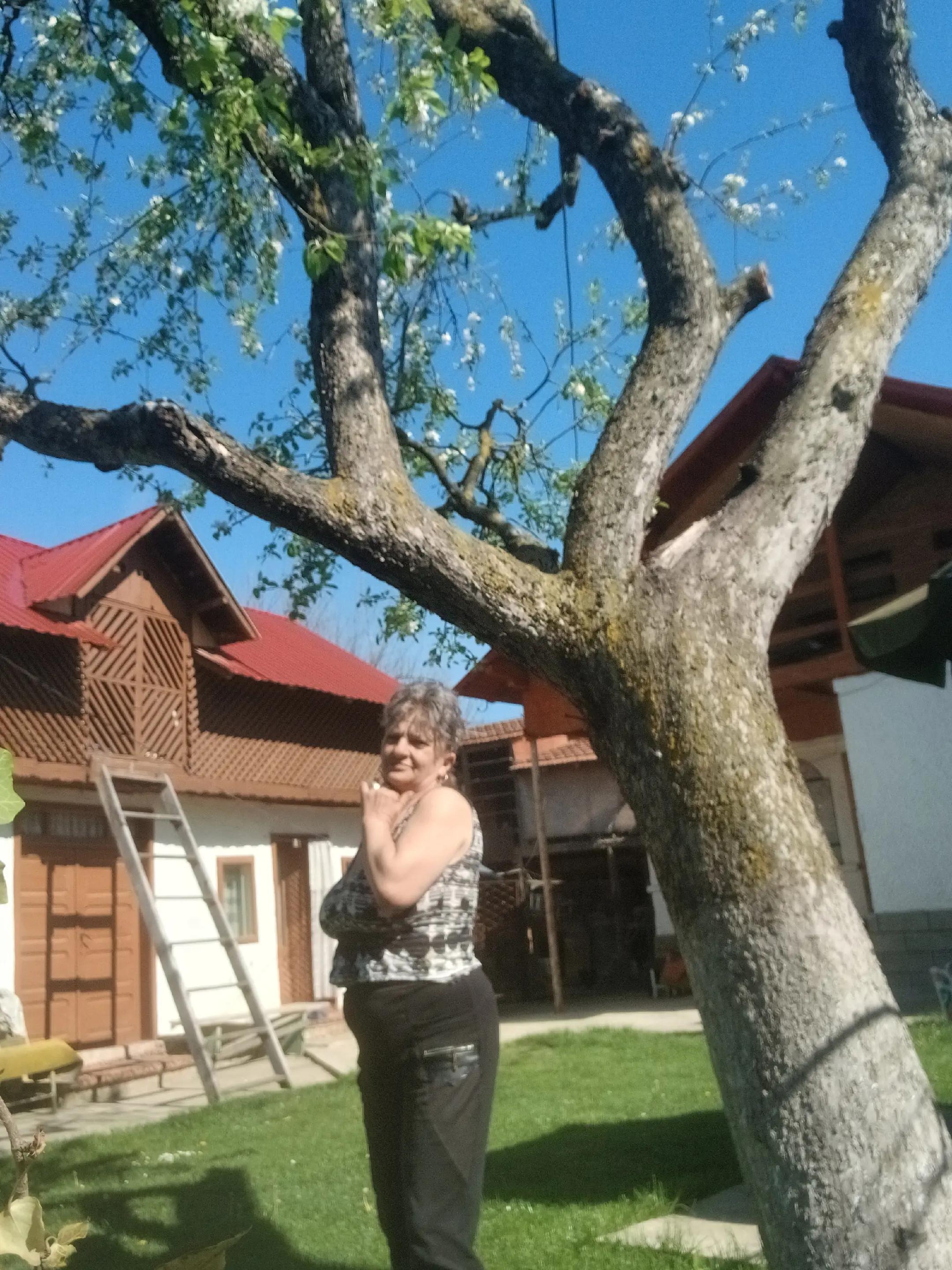 @Ela Geama