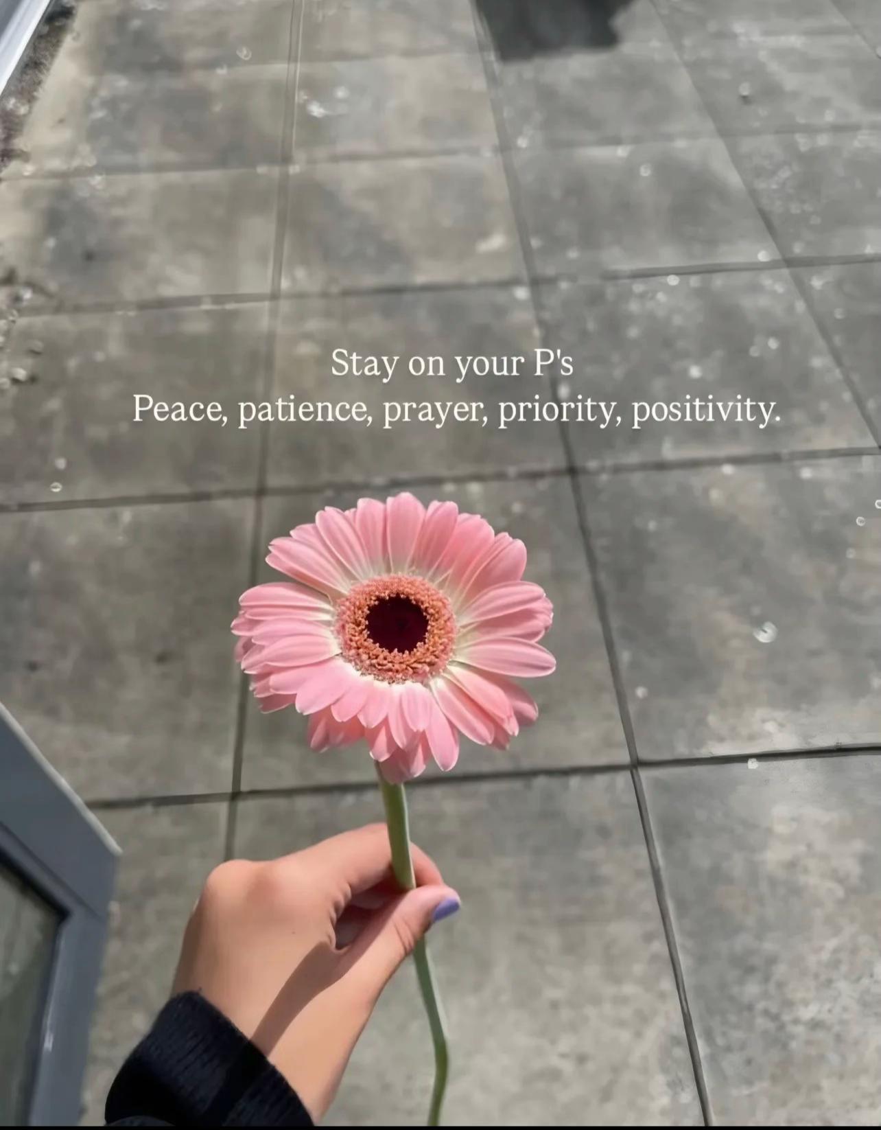 @DIYALO 💜 DIYALO
