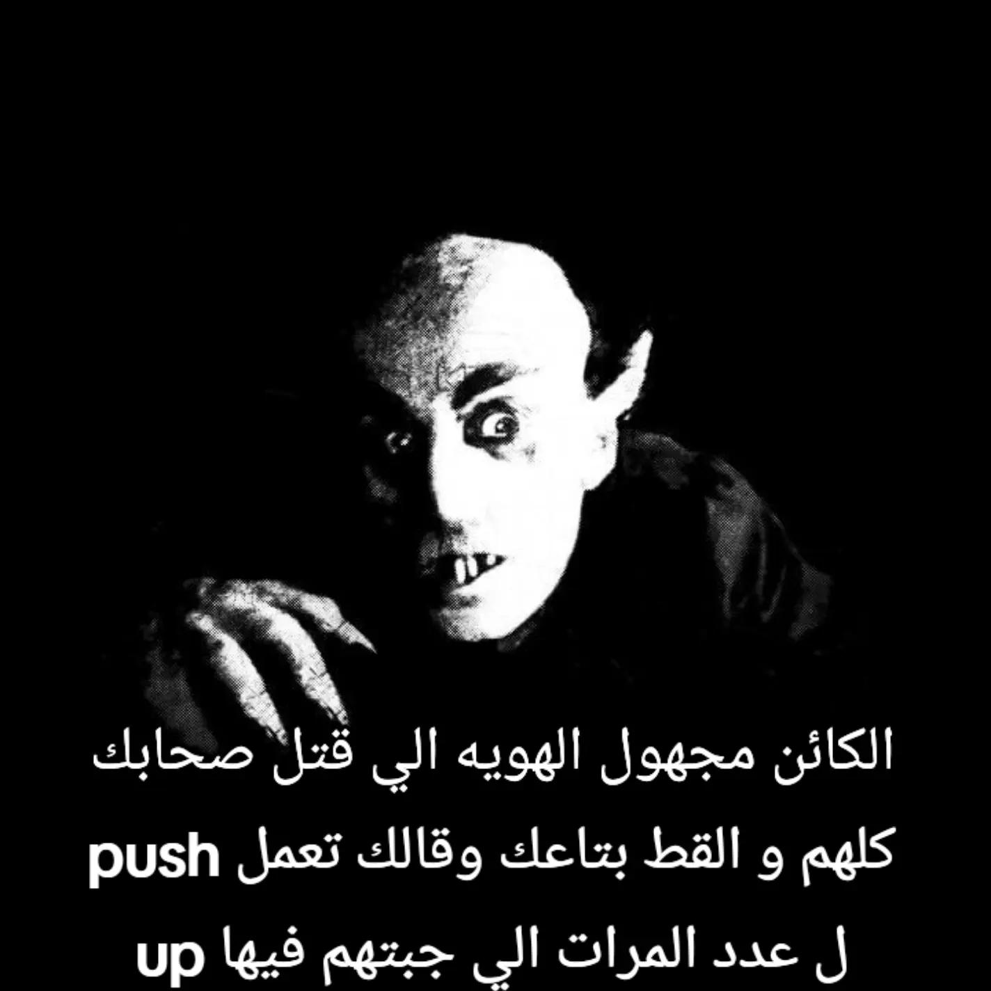 @شوكه مطبخ