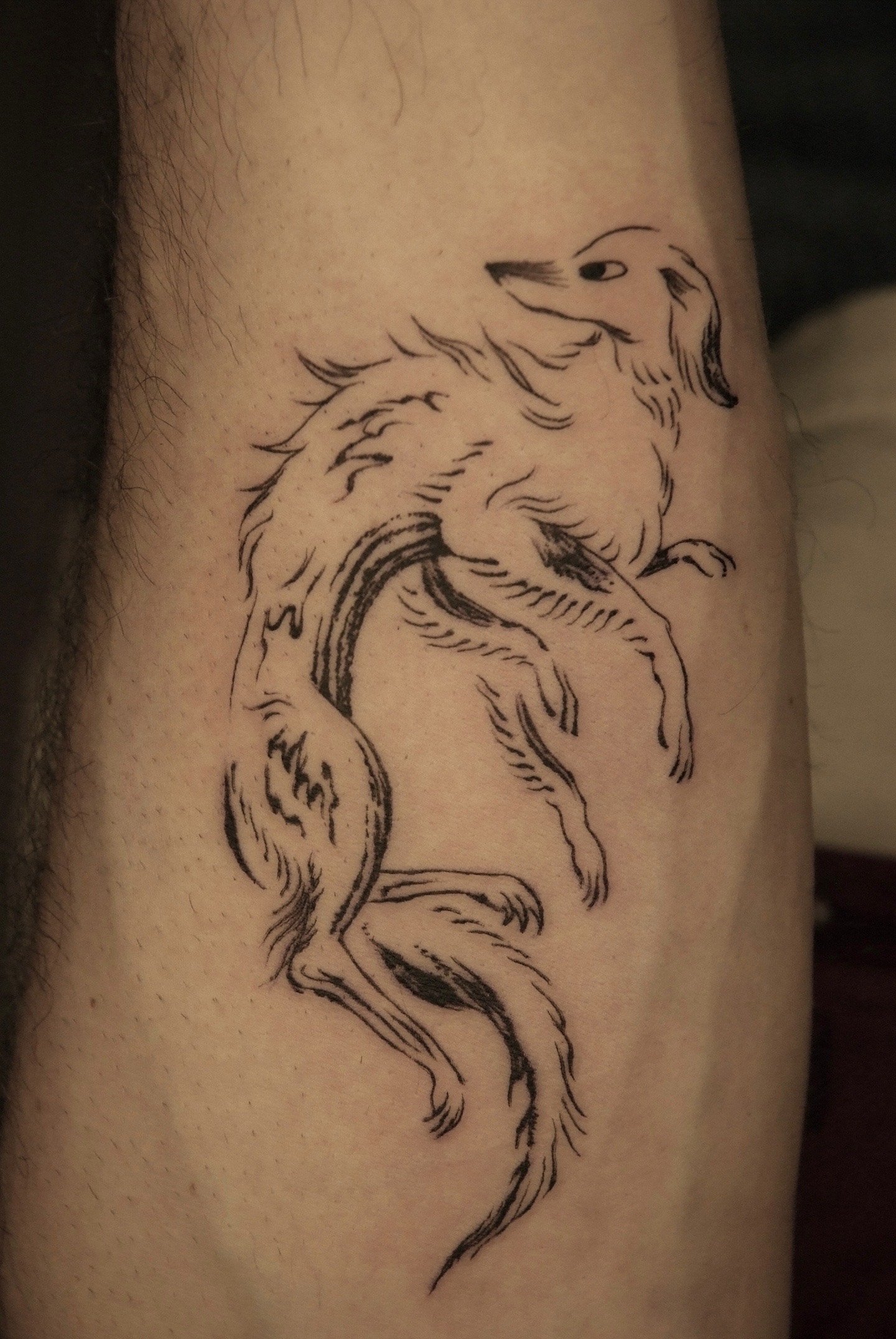 @isip.ink