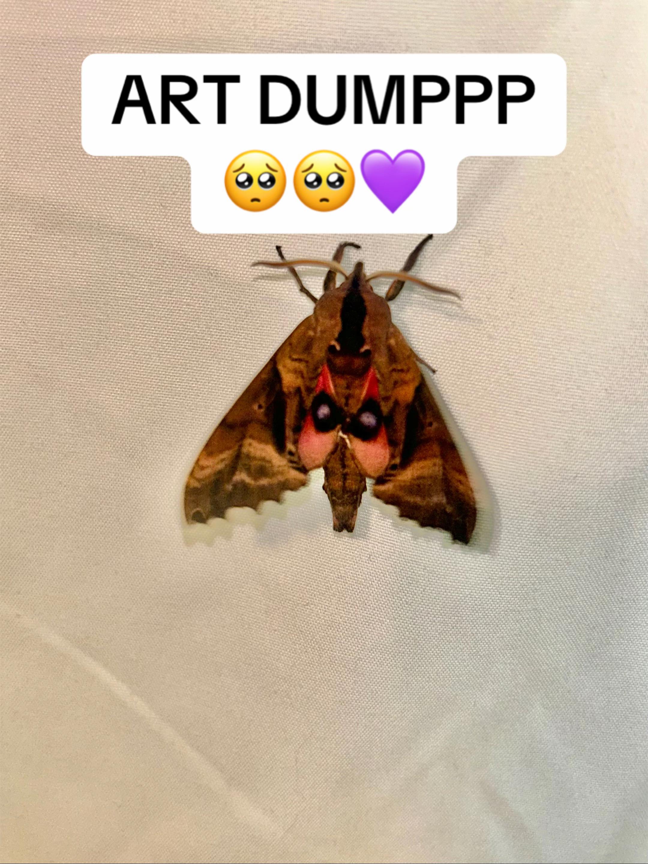 @โฌโแฏโ
๐ค๐๐๐ช๐๐๐โ
แฏโโฌ