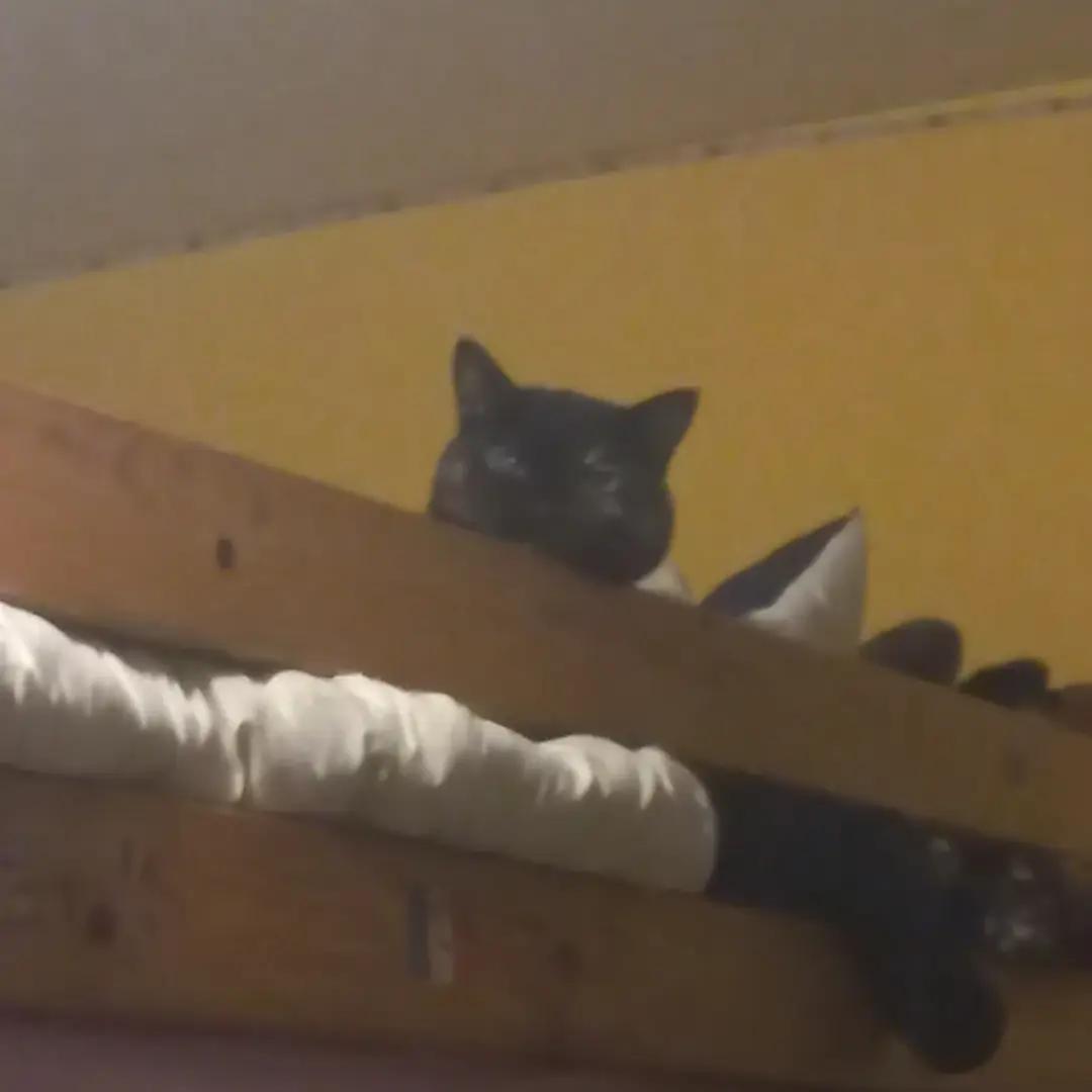 @&Oslash;t&aring;ků