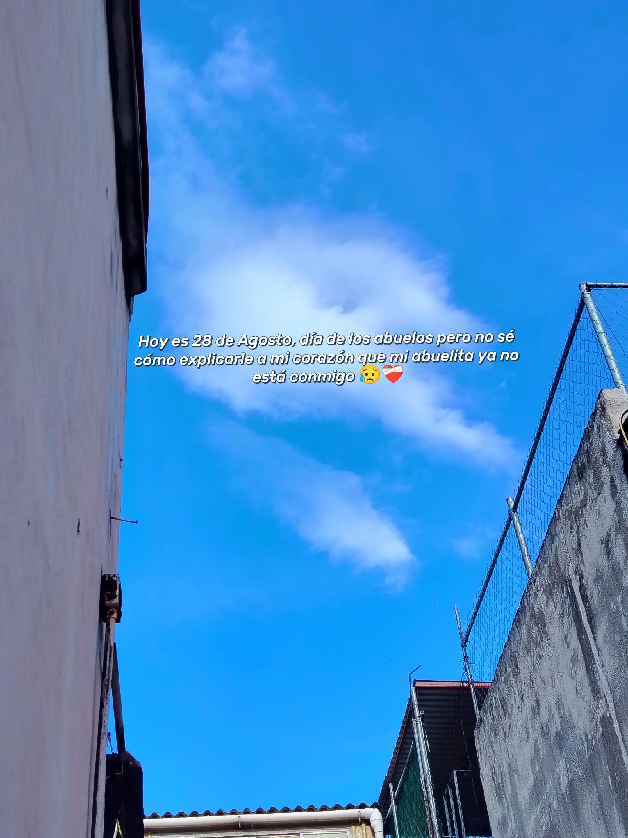 @Brenda Zam