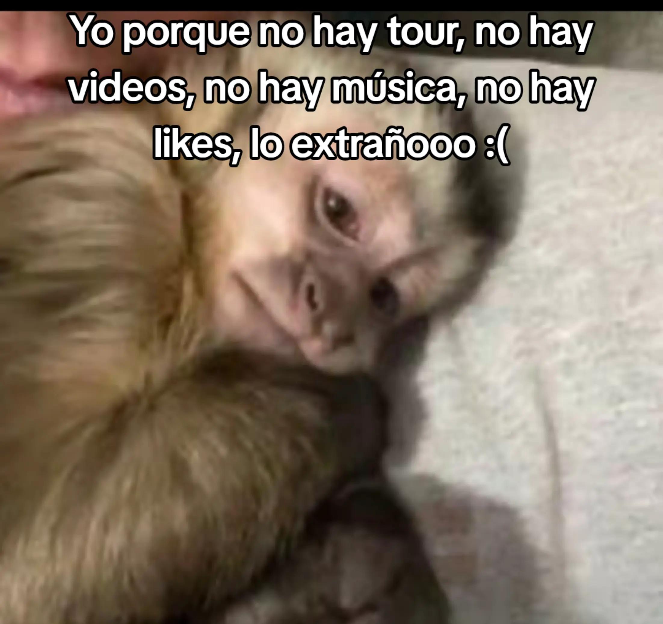 @jaz