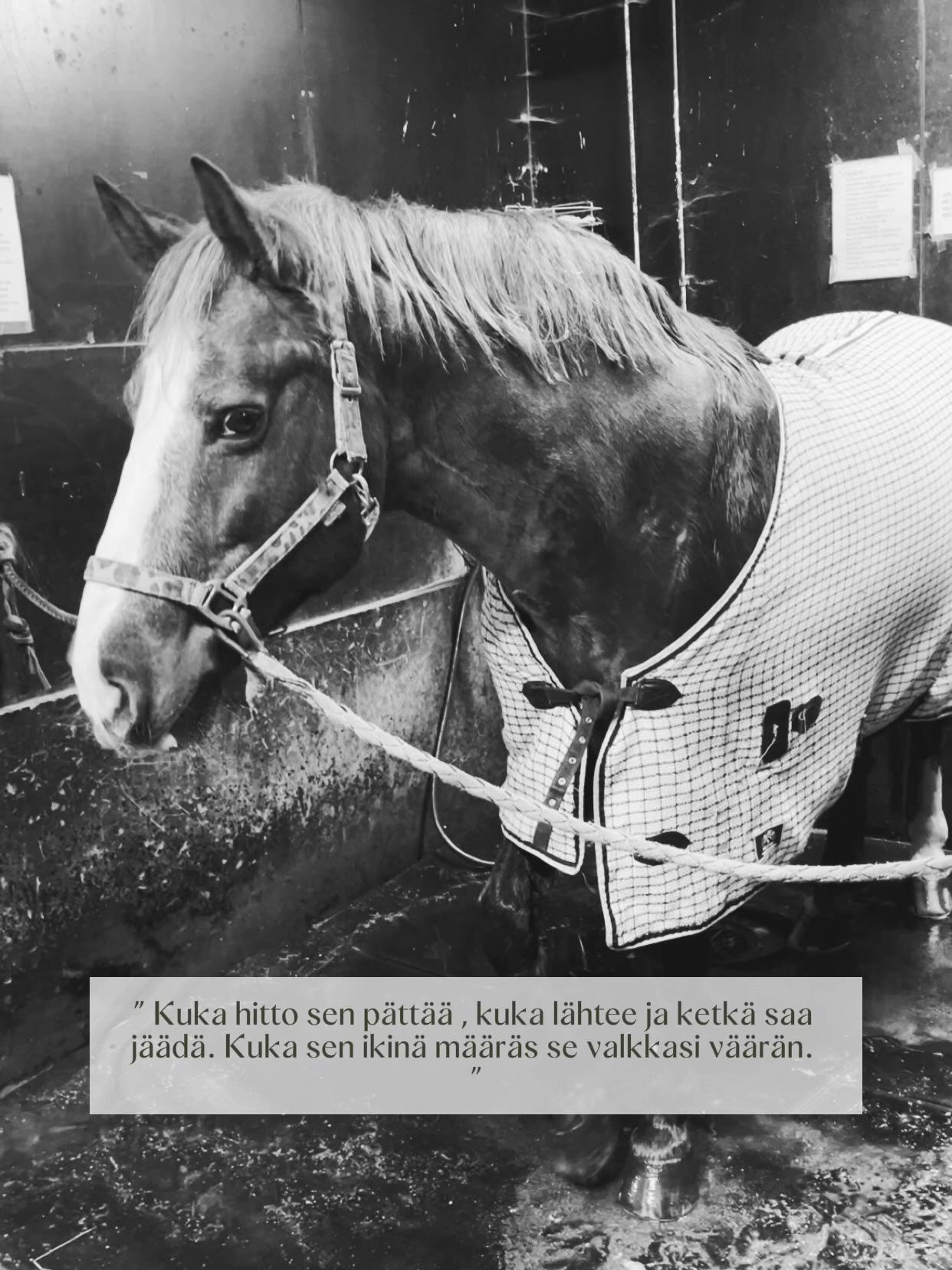 @Team.Toikkanen🇫🇮💞