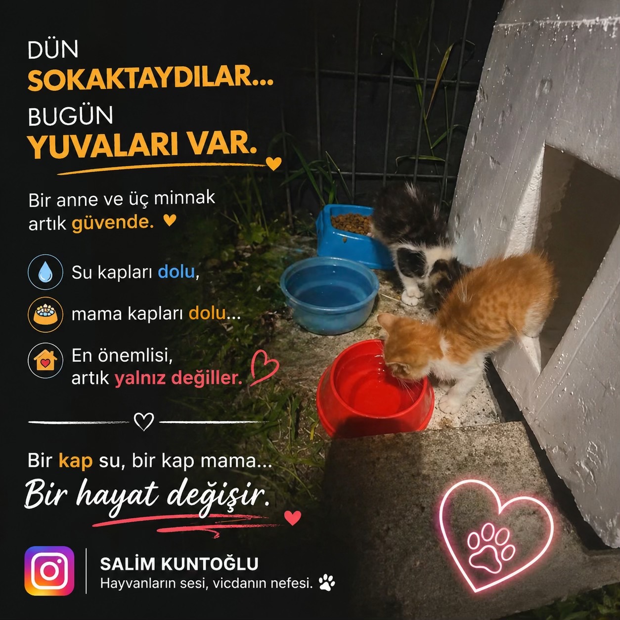 @Salim Kuntoğlu