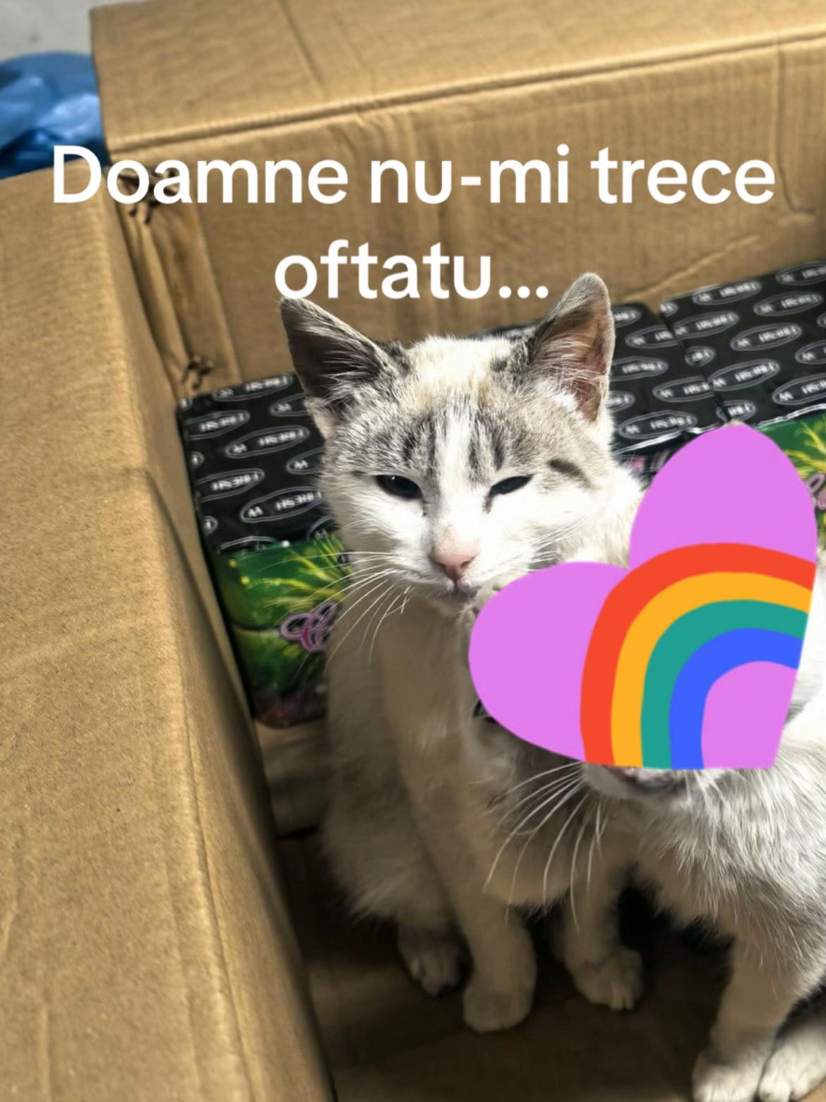 @❤️ 𝓛𝓸𝓻𝓮❤️