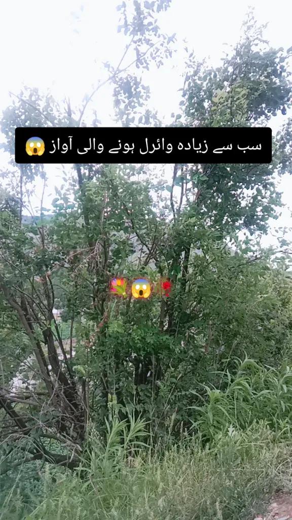 @✨Zahir_khan✨