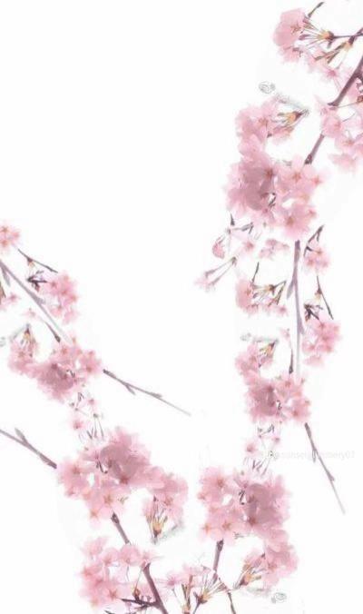 @☆Maki☆