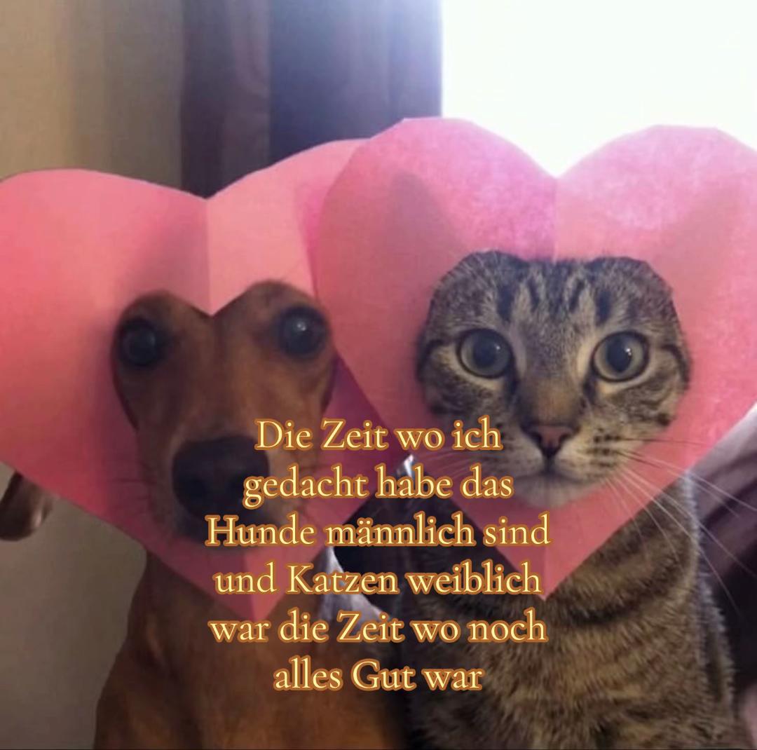 @secr3tuserr