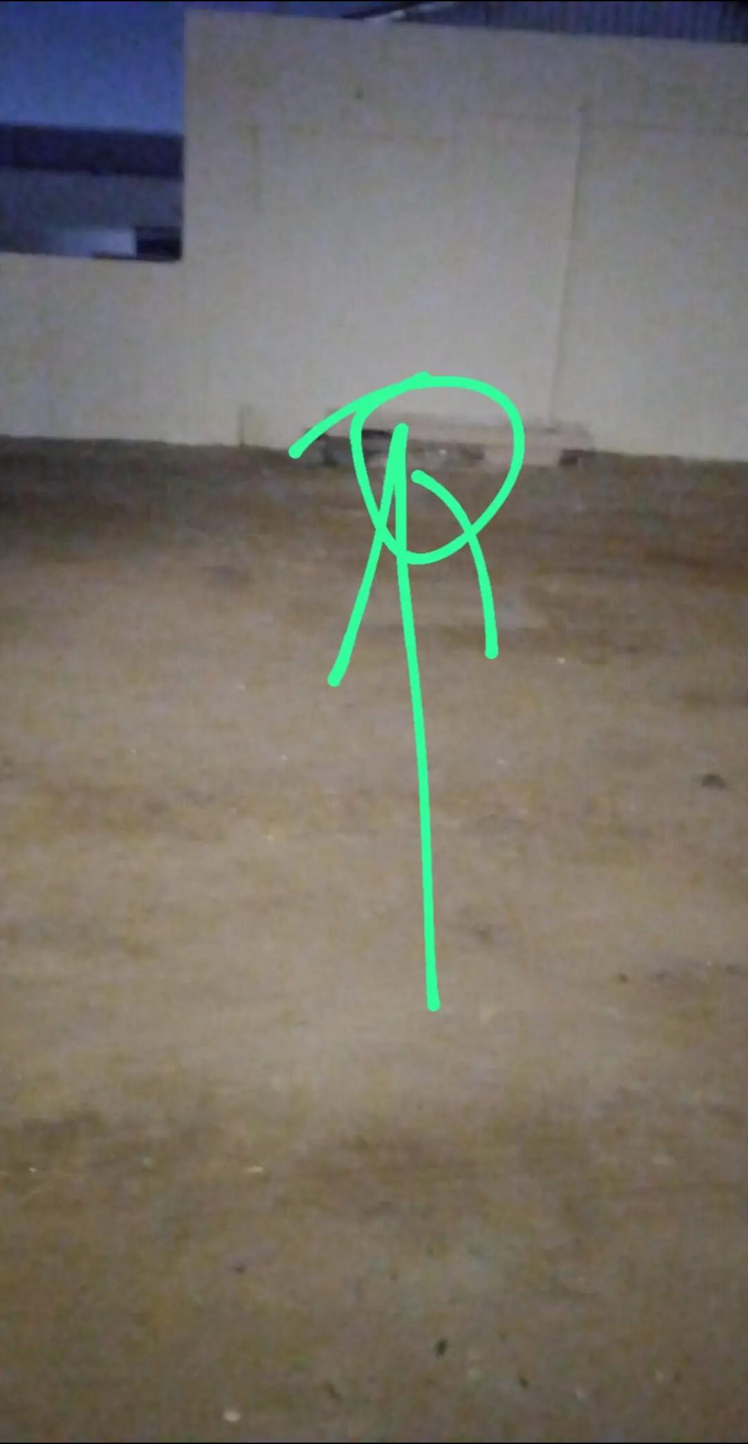 @محمد قاسم