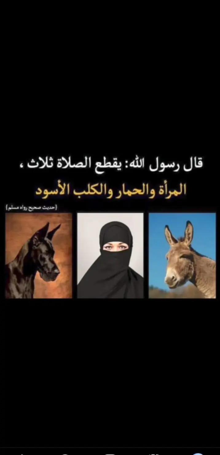 @MALAK AL KARMA
