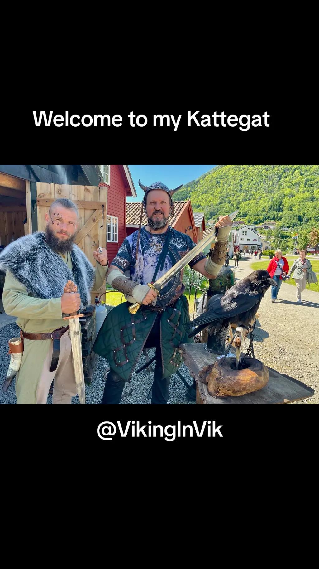 @VikinginVik