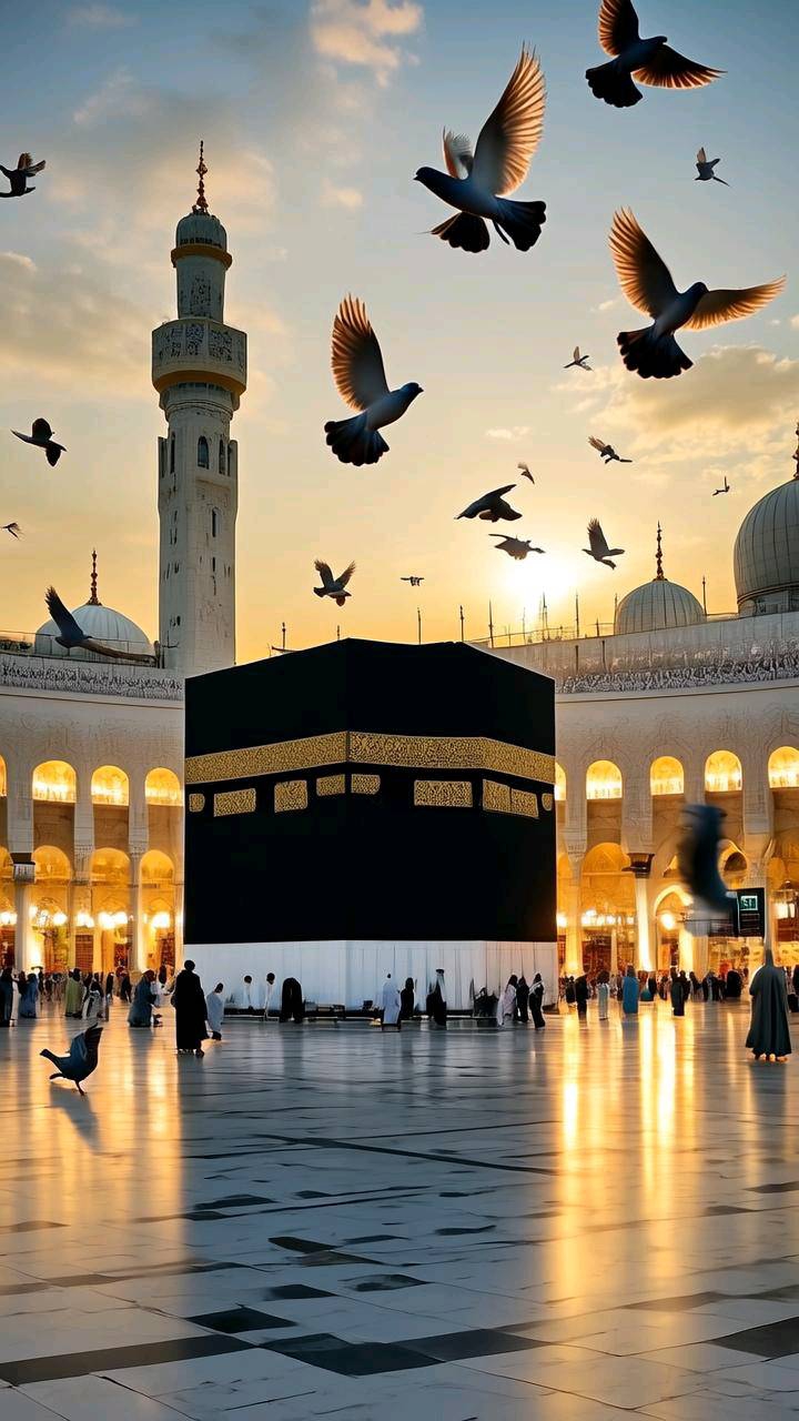 @✨💫 منیب 💫✨